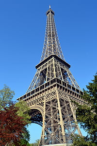 Paris, França, Primavera, beleza, a torre eiffel, feriados, árvore