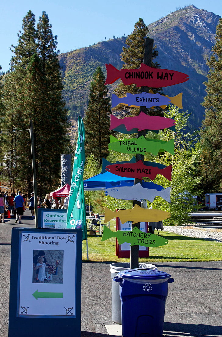 festival de salmó, riu Wenatchee, salmó, peix, Festival, panell, signe