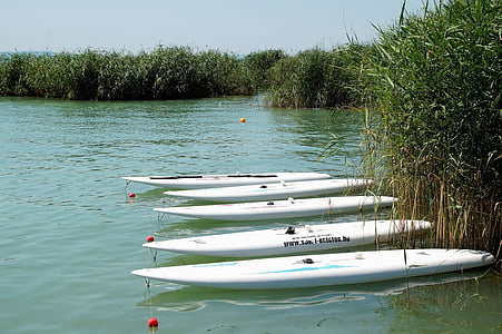 Lake, Balaton, Reed, surfebrett, vannsport, Park, nautiske fartøy