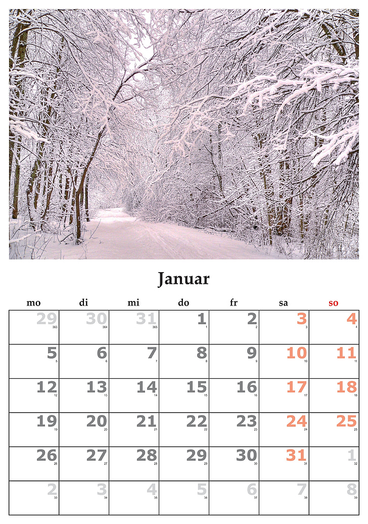 Kalendár, mesiac, januára, januára 2015