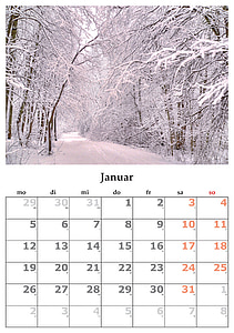 kalendern, månad, januari, januari 2015