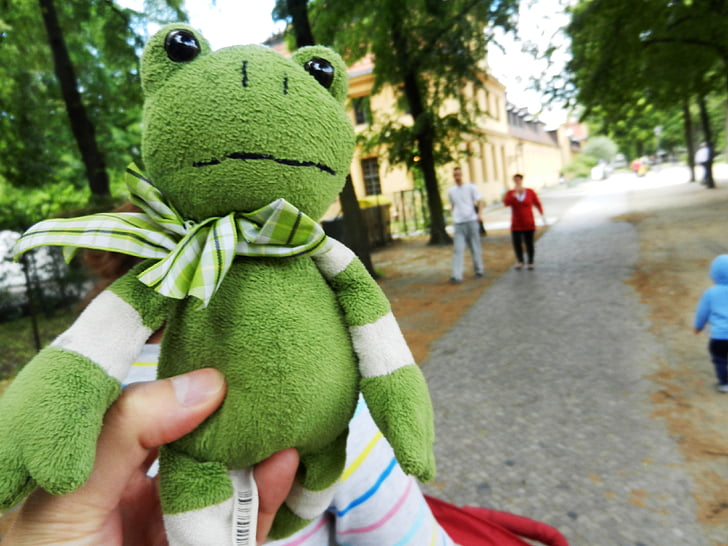 con ếch, Żabka, linh vật, màu xanh lá cây, đồ chơi, đôi mắt, tour du lịch