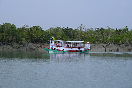 brod, Rijeka, mangrova, Sundarbans, šuma, g., UNESCO-a