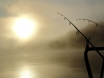 pesca, Verão, Rio Drava, amanhecer, natureza, água, pescador