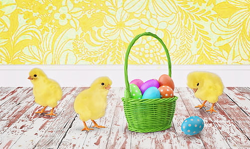 Великден, пилета, Baby пилета, Великденски яйца, кошница за Великден, празник, яйце