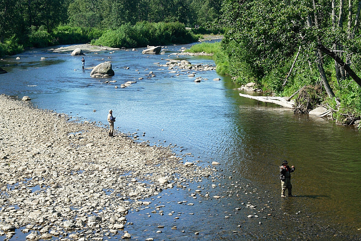 река, Риболов, мъж, рибар, котва река, Аляска, улова