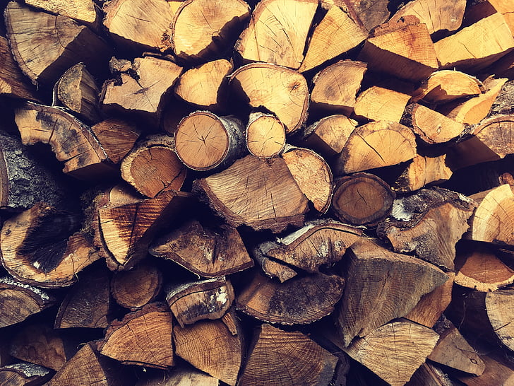 hout, natuur, herfst, seizoen, boom