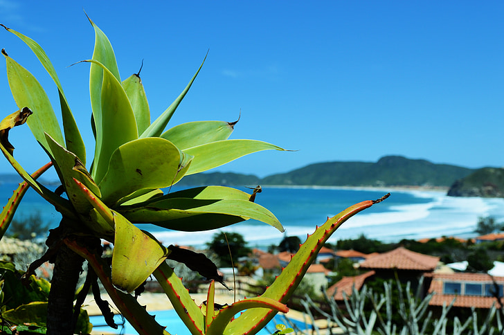 Playa, Búzios, Brasil, mar, Costa, sol, días de fiesta