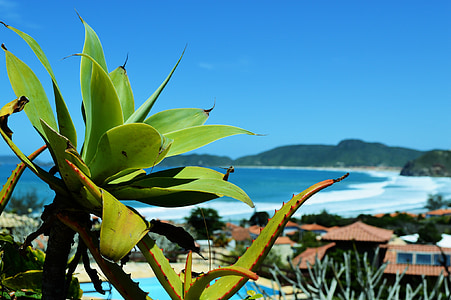 beach, búzios, brazil, mar, costa, sol, holidays