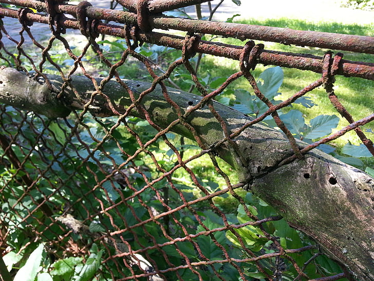 staket, Mesh stängsel, övervuxna, barer, Wire
