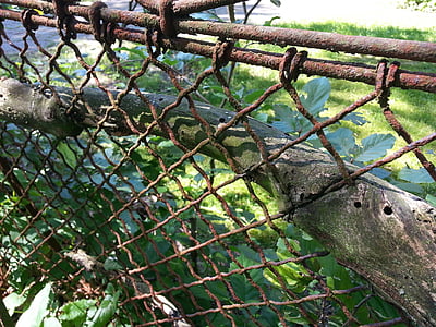 hegnet, mesh hegn, tilgroet, barer, Wire