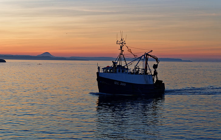 barco de pesca, barco, puesta de sol, Puerto, al atardecer, captura, viajes