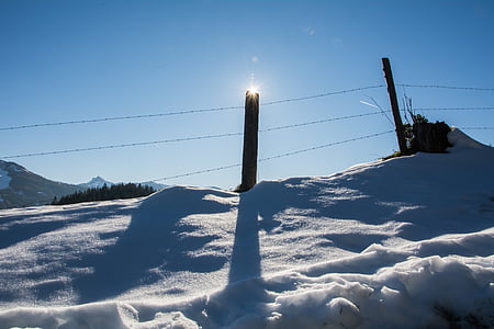 冬, 太陽, 雪, バックライトします。, zau, フェンス ポスト