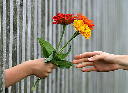 hand, bouquet, fence, gift, give, congratulate, relationship