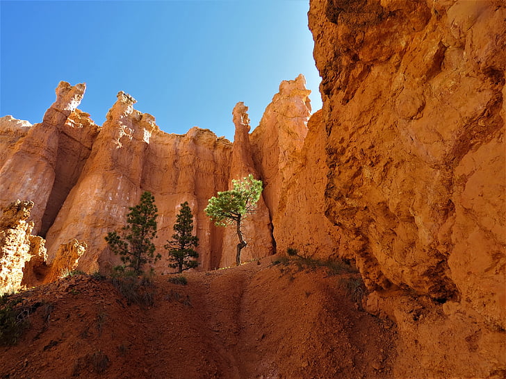 Bryce canyon, Utah, vandring, röd sandsten, naturen, öken, landskap