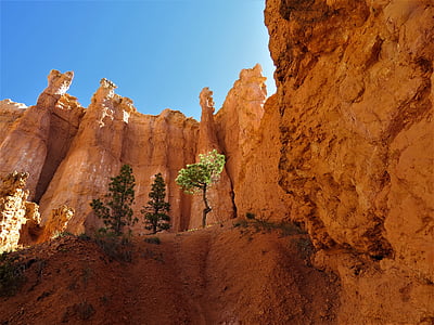 bryce canyon, utah, hiking, red sandstone, nature, desert, landscape