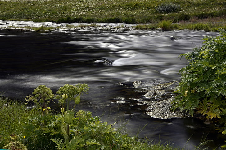 seljalandasfoss, 강, 흐름, 조 경, 자연, 아이슬란드, 물