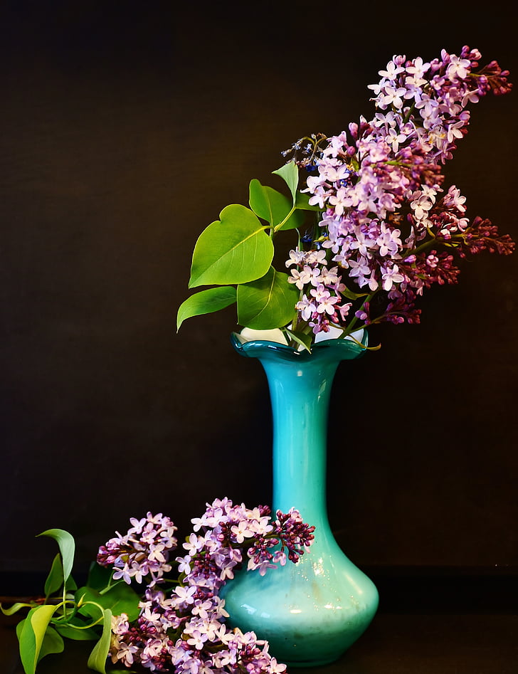 orgován, fialová kytica, kvety, jar, Dekoratívne, zátišie, Kvetinová výzdoba