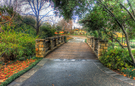 Pont, Arborètum, passarel·la, jardí, paisatge, camí, arquitectura