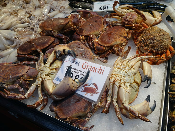 vēžveidīgie, krabji, zivju tirgus, tirgus, jūras dzīvnieki, Venice