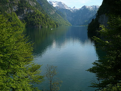 Königssee, alpí, l'aigua, panoràmica, muntanya, muntanyes, veure