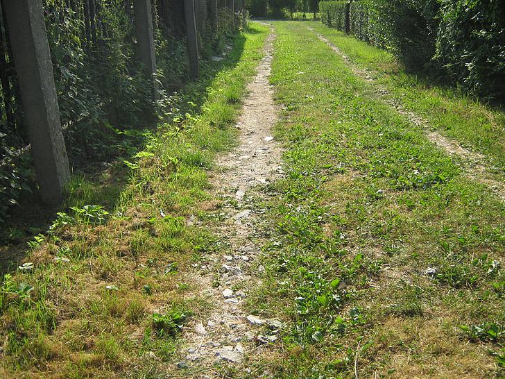 the path, way, trail, closeup, nature, outdoors, footpath