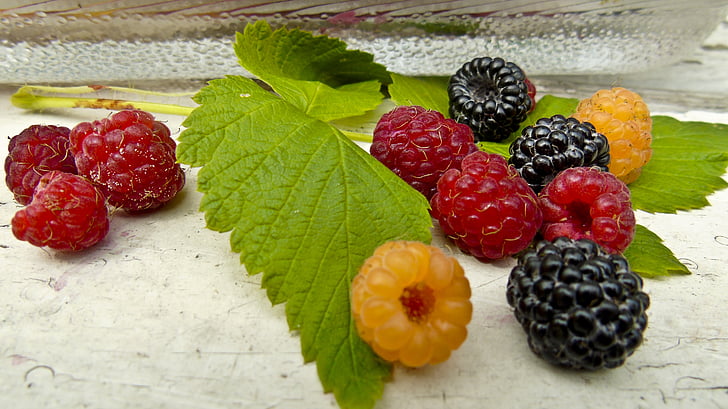 raspberry, berry, still life