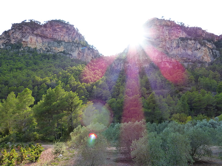 solnedgang, fjell, skog, landskapet, oliventrær, Priorat?, natur