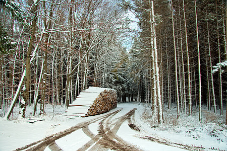 germany, bavaria, snow, winter, tracks, trail, path