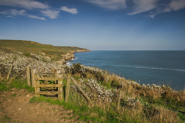 tengerpart, sétány, az Outlook, óceán, Dorset, Anglia, tenger