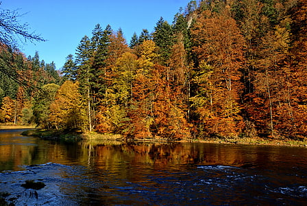 Пиенины, Дунаец, Осенние листья, цвета, вид, Природа, Река