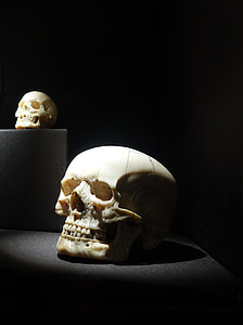 crani, crani amb ossos creuats, fosc, dents, esquelet, aterridor, esgarrifós