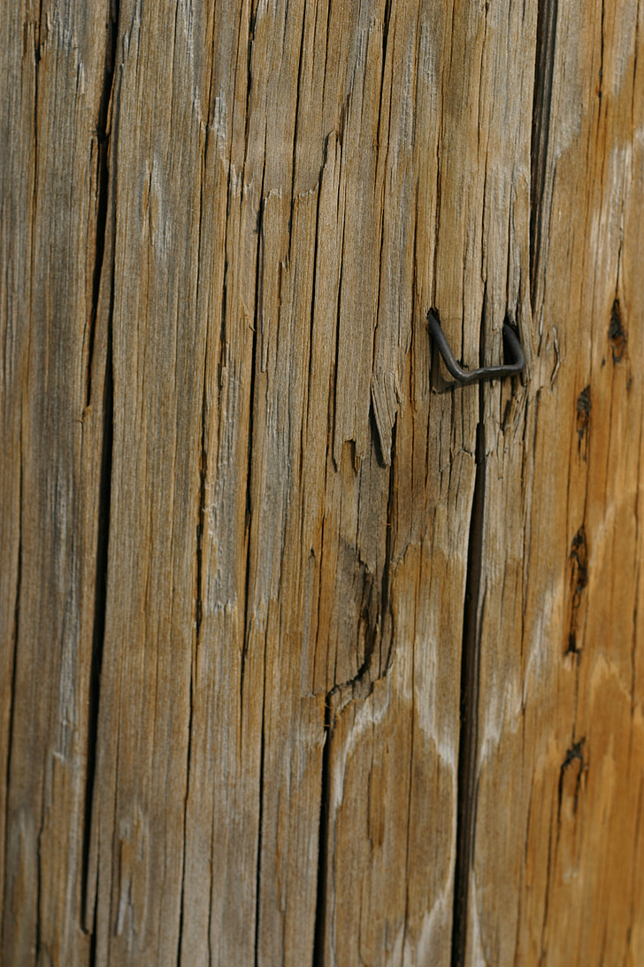 дървен материал, текстура, телефон полюс