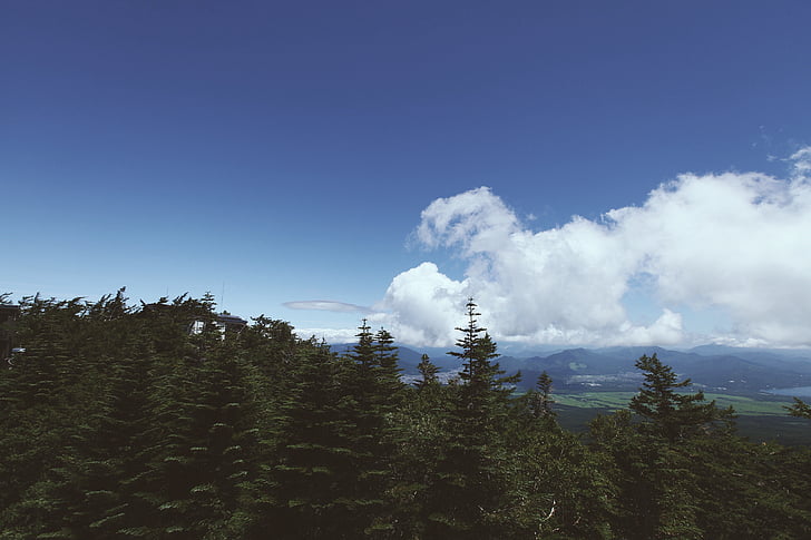 clouds, forest, nature, sky, trees, mountain, tree