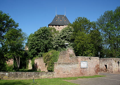 hrad, Nideggen, Burg nideggen, historicky, pevnost, Středověk, Eifel