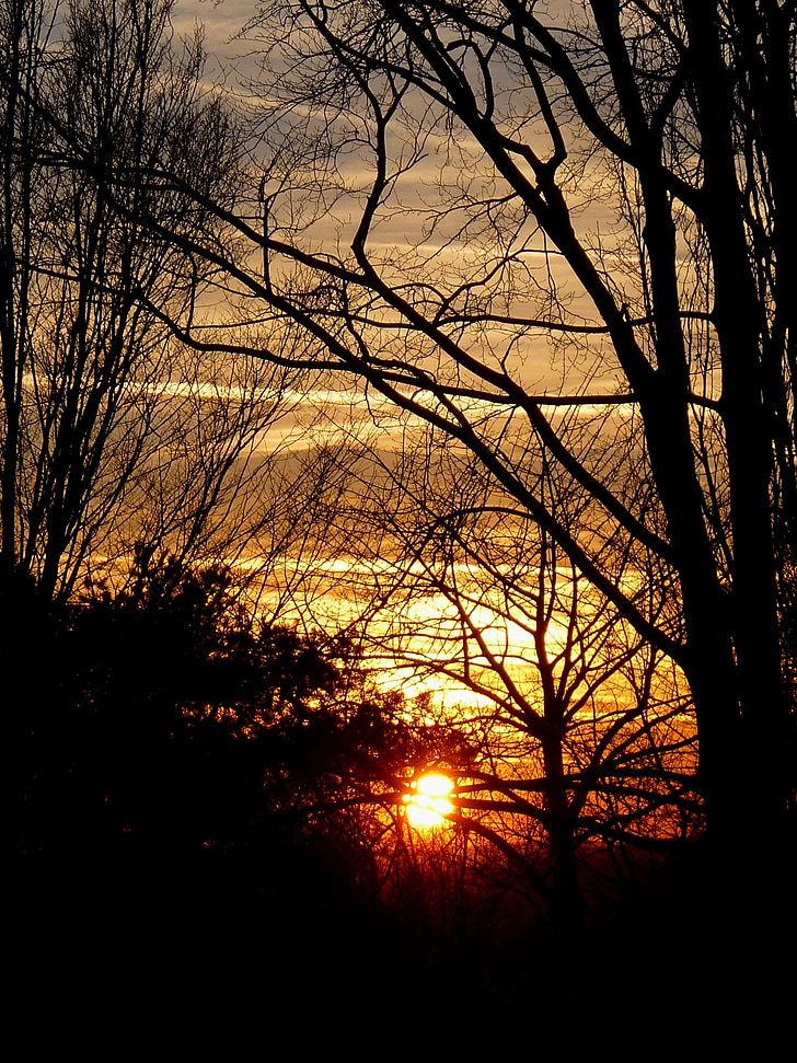 puesta de sol, luz, madera, rama, cielo, día s
