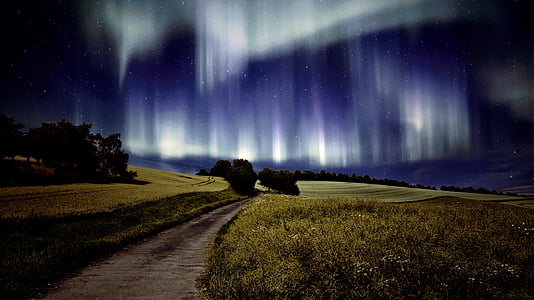 northern lights, landscape, aurora, borealis, phenomenon, atmosphere, rural scene