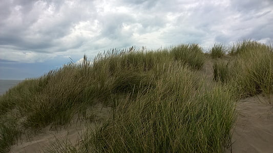砂丘, dunegrass, 砂, 海岸, 自然, 砂丘, marram の草