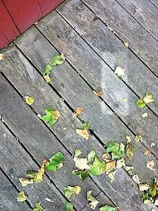 叶子, 圣克鲁兹, 秋天, 赛季, 木材, 甲板上