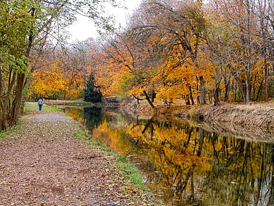Pensylvánie, kanál, voda, Les, stromy, Woods, na podzim