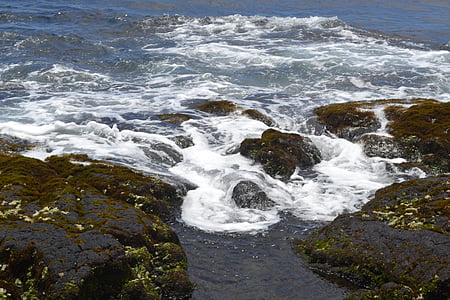Hawaii tengerparton, hullámok, sziklák, Hawaii, tenger, óceán, Shore