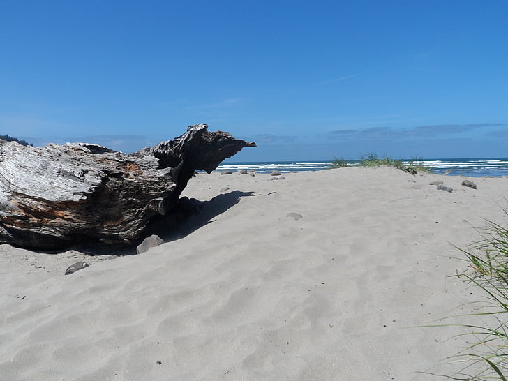Plaża, Driftwood, z widokiem na ocean, piasek, Dziennik, Brzeg, dekoracje