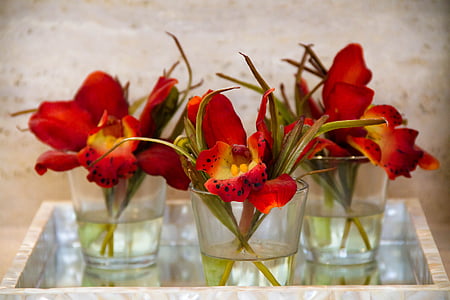 décoration, fleur, rouge, bouquet, vase, nature
