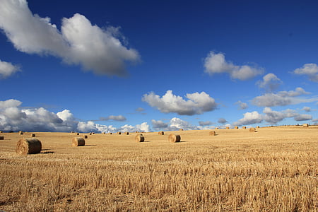 clouds, countryside, crop, farm, farmland, field, hay bales
