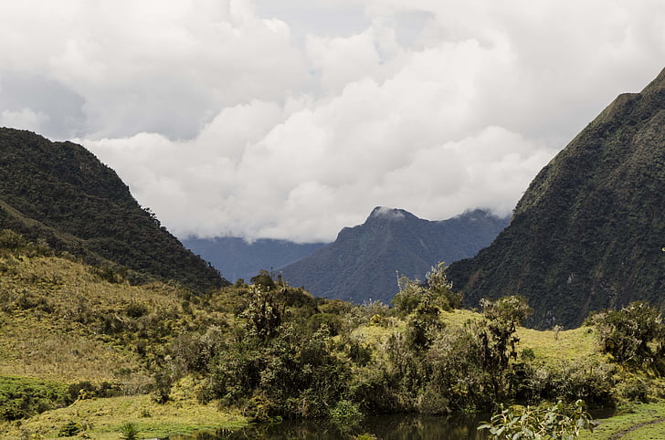 vysokohorského lesa, Peruánský biodiverzity, biologická rozmanitost peruánské Amazonie