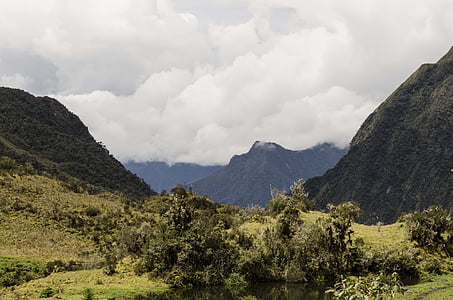 forêt de montagne, biodiversité péruvienne, biodiversité de l’Amazonie péruvienne