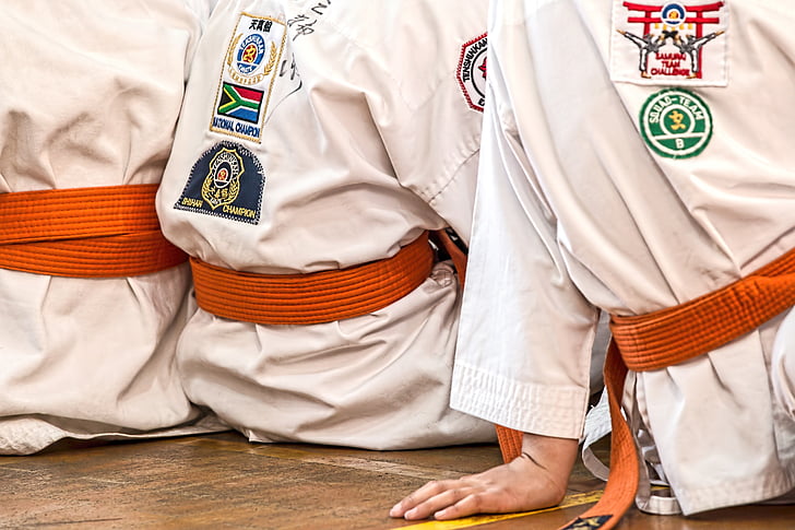 karate, martial arts, sport, belt, competition, defense, training