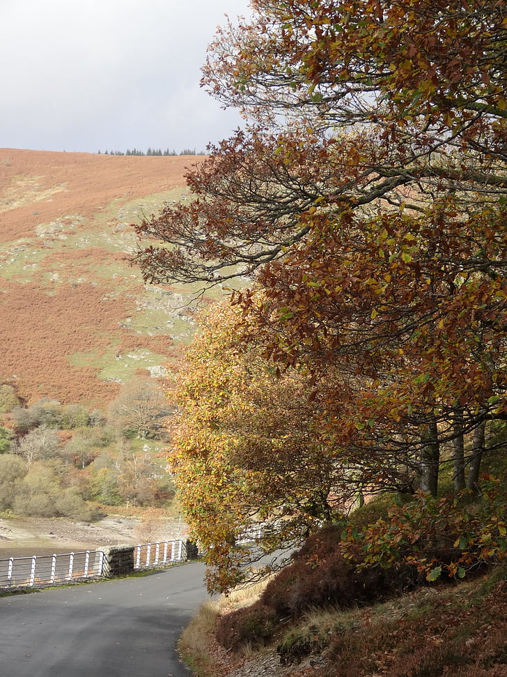 Wales, hösten, faller, landsbygdens, landskap, naturen, Hill