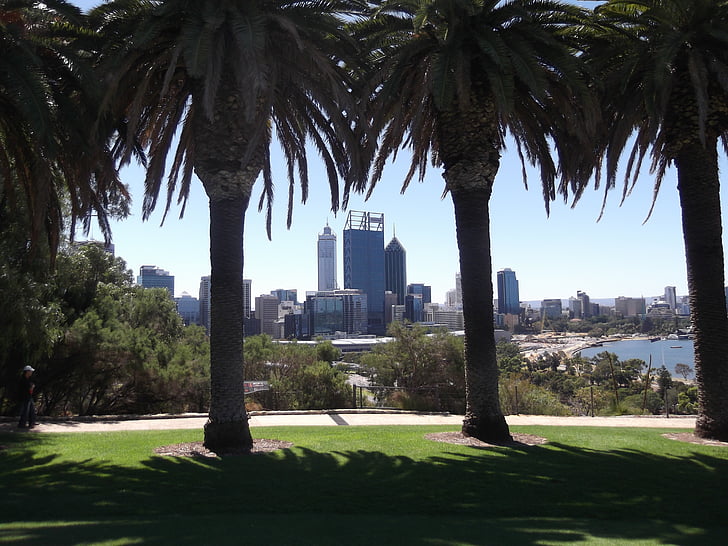 Perth, cidade, árvores, Austrália, Parque, paisagem, arranha-céu