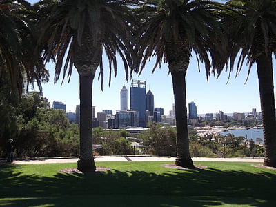 Perth, város, fák, Ausztrália, Park, táj, felhőkarcoló